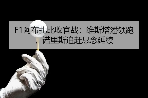 F1阿布扎比收官战：维斯塔潘领跑，诺里斯追赶悬念延续